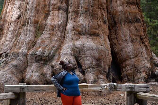 2 Days Private Tour to Sequoia and Kings Canyon Parks from LA - Key Points