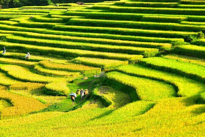 2 Days Pu Luong Offbeat Trekking Best for Mountain Lovers - Who Will Love This Tour?