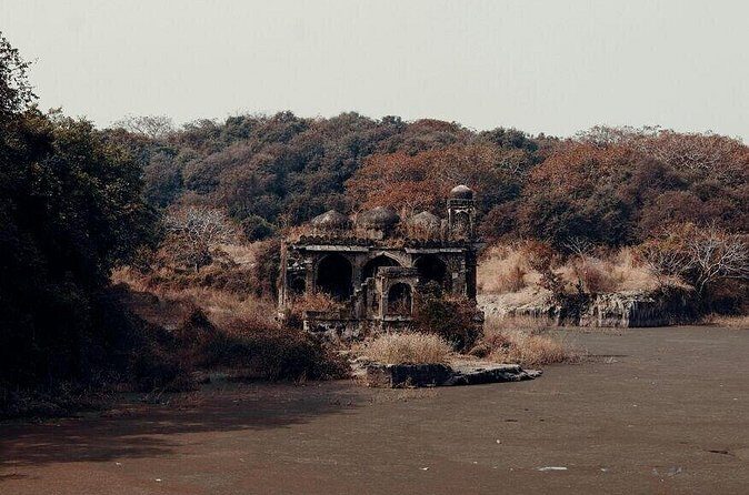 2 Days Ranthambore Wildlife Private Tour from Jaipur - The Sum Up