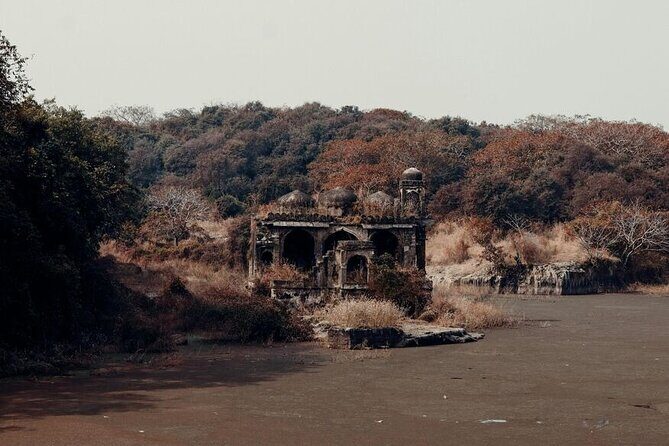 2 Days Ranthambore Wildlife Private Tour from Jaipur - FAQ