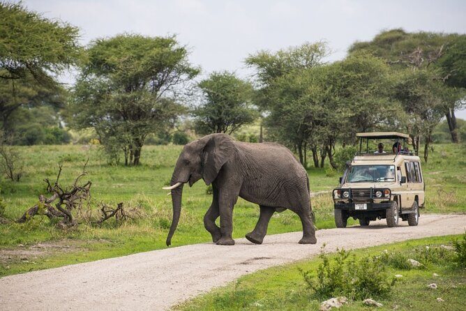 2 Days Ruaha National park - An Overview of the 2-Day Ruaha National Park Tour