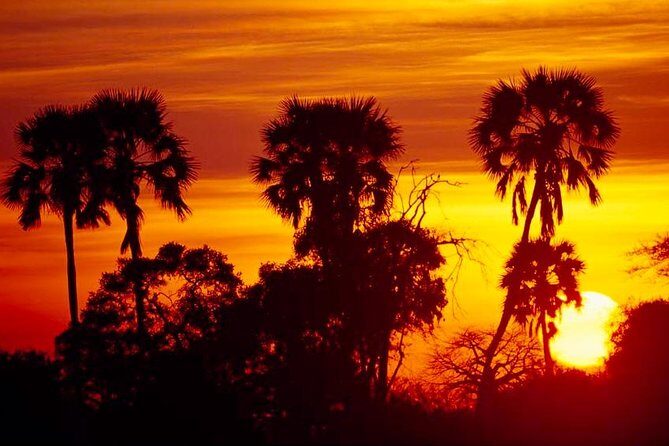 2 Days Ruaha National park - Value and Cost: Is It Worth It?