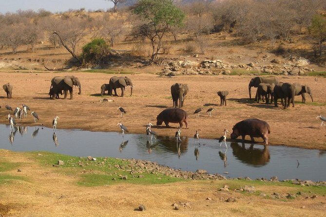 2 Days Ruaha National park - Final Thoughts: Who Will Love This Tour?