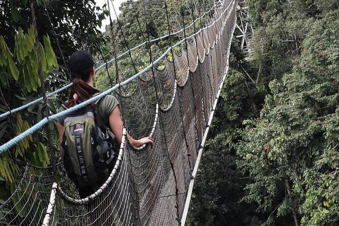 2 Days Rwanda Chimpanzee Trekking Safari - Key Points