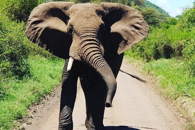2 Days Saadani National Park From Zanzibar - Who Should Consider This Tour?