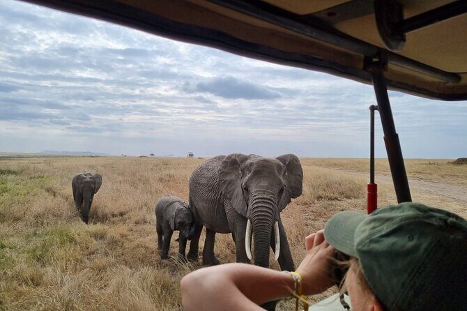 2 Days Safari in Tarangire and Ngorongoro Crater - 2 Days Safari in Tarangire and Ngorongoro Crater: An Authentic African Adventure