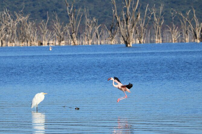 2 Days Safari to Tarangire & Lake Manyara - Frequently Asked Questions