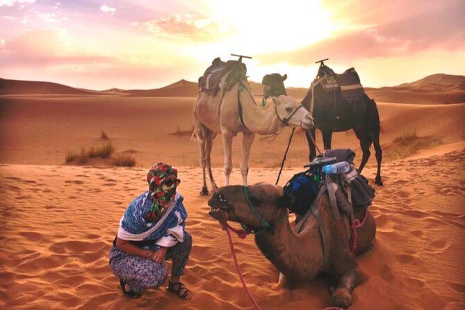 2 Days Sahara Desert Trip From Fes Return To Fes All Inclusive - Who Should Consider This Tour?