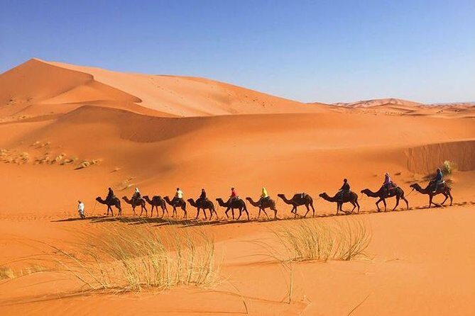 2 Days Sahara Desert Trip From Fes Return To Fes All Inclusive - The Sum Up