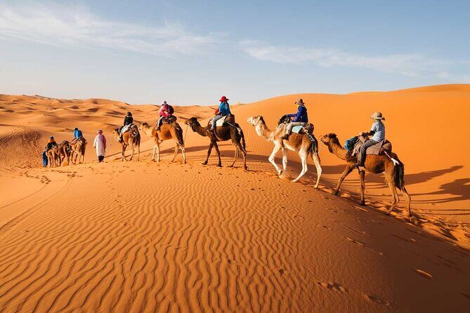 2 Days Sahara Group Tour Fez to Marrakech via Merzouga - Who Should Consider This Tour?