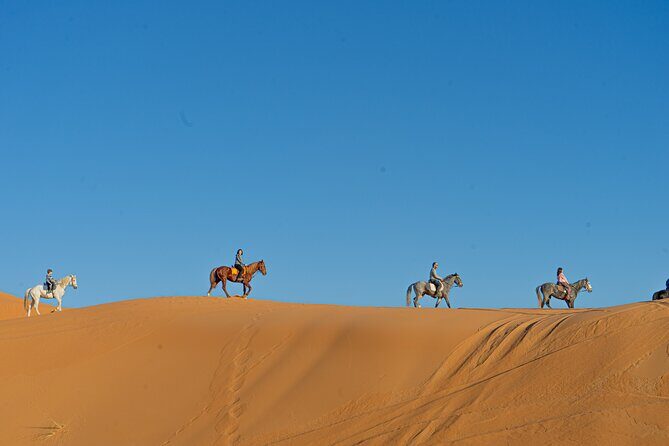 2 days Sahara tour with overnight in luxury desert camp - Authenticity and Highlights from Real Travelers