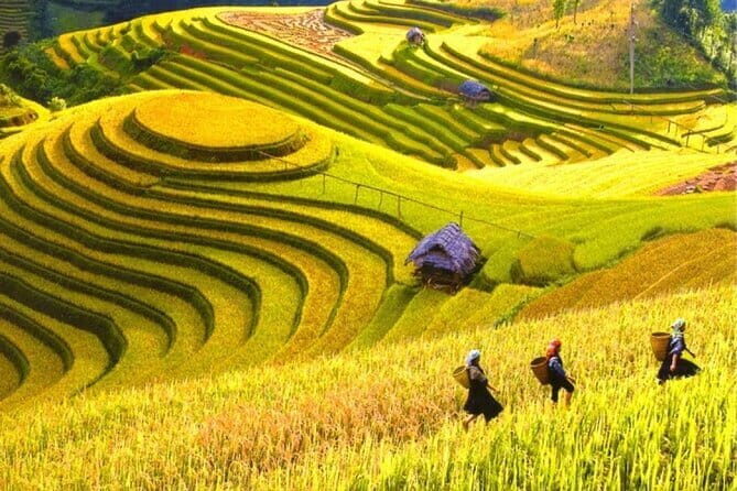 2 Days Sapa Adventure of Trekking, Fansipan Mountain, Workshop - The Final Word