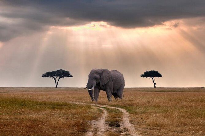 2 Days Selous Game Reserve Safari from Zanzibar or Dar es salaam - Exploring the Itinerary in Detail