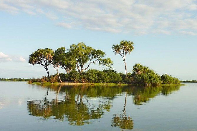 2 Days Selous Game Reserve Safari from Zanzibar or Dar es salaam - What Travelers Say about This Tour