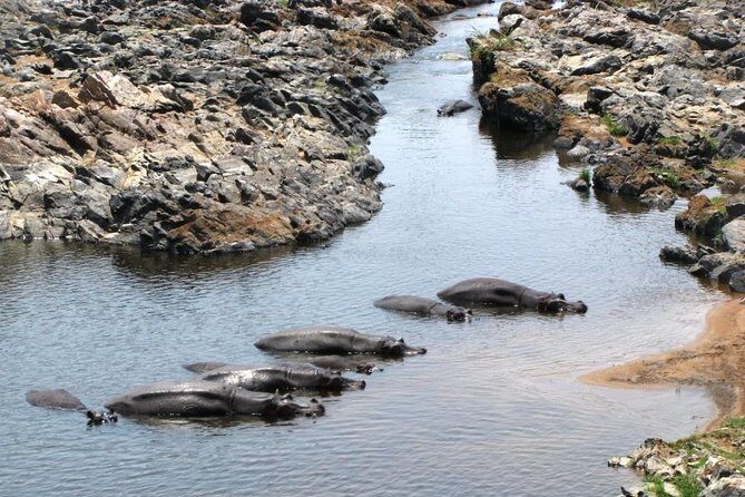 2 Days Selous Game Reserve Safari from Zanzibar or Dar es salaam - Frequently Asked Questions