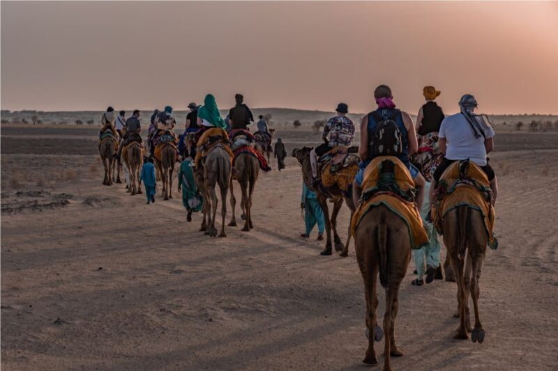 2 Days Sharing Group Non Touristic Camel & Desert Safari - Final Thoughts