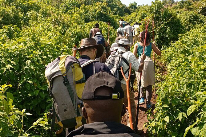 2 Days Sipi Falls Hike and Coffee Tour - The Authenticity and Practicality of the Tour