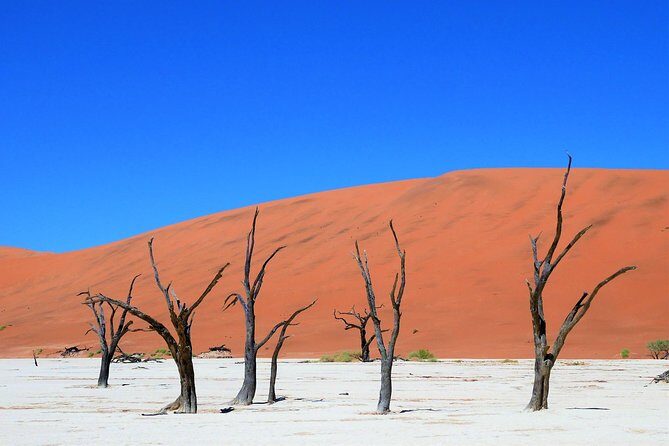 2 Days Sossusvlei Private Camping Tour - A Closer Look at the Itinerary