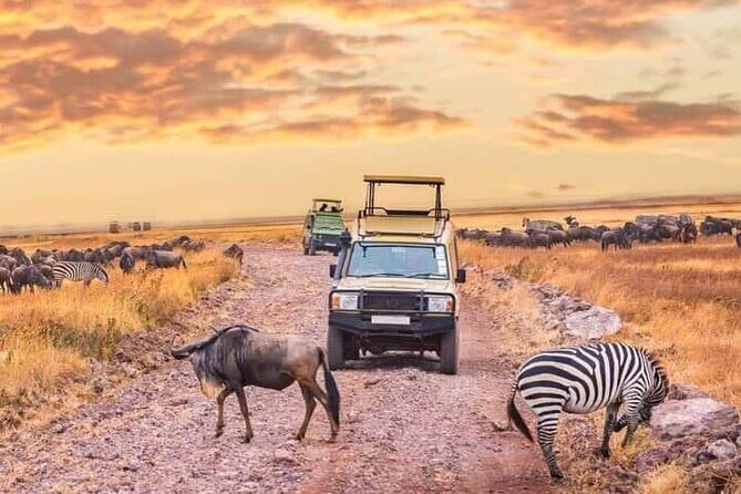 2- Days Tanzania Private (Budget) Safari - The Value of the Experience