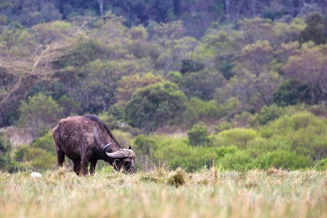 2 Days Tanzania Safari - Final Thoughts