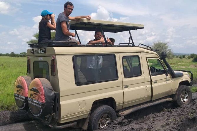 2 Days Tanzania Safari - Lake Manyara and Tarangire National Park - The Sum Up: Is This the Right Safari for You?