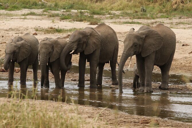 2 Days Tarangire and Ngorongoro Mid-Range Group Safari - The Balance of Value and Experience