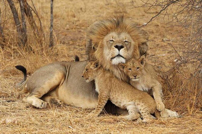 2 Days Tarangire and Ngorongoro Safari from Zanzibar - Who Will Enjoy This Safari?