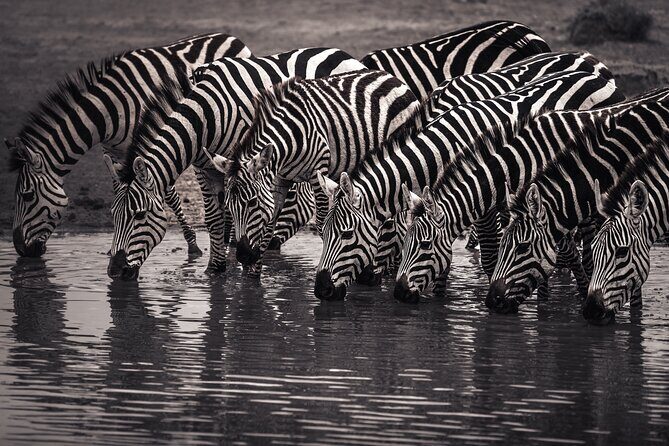 2 Days Tarangire and Ngorongoro Safari Tour in Tanzania - Final Thoughts