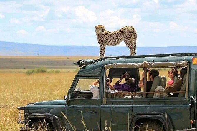 2 days Tarangire and Ngorongoro short safari - The Itinerary in Detail