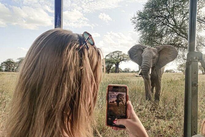 2 days Tarangire and Ngorongoro short safari - What’s Included and What’s Not
