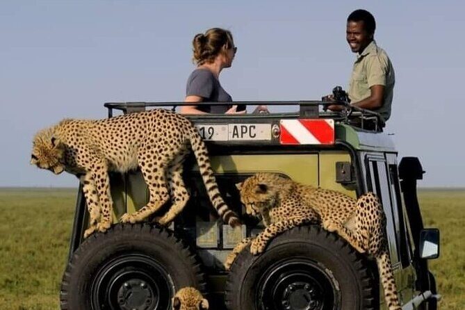 2 days Tarangire and Ngorongoro short safari - Who This Tour is Best For