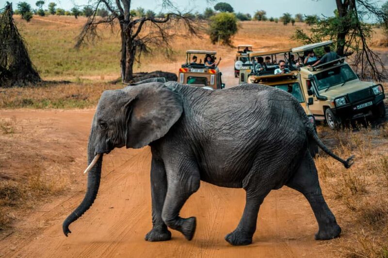 2 Days Tarangire & Ngorongoro Crater - Key Points