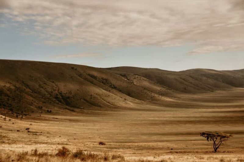 2 Days Tarangire & Ngorongoro Crater - Authentic Experiences and Landscape Highlights