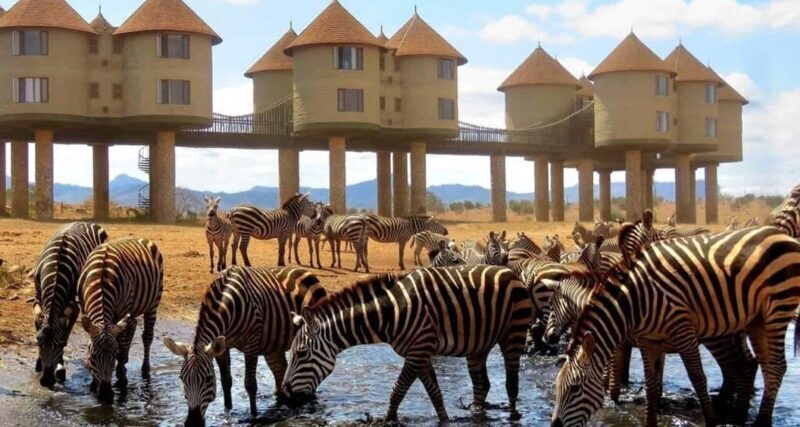 2 DAYS TO TAITA HILLS GAMES SANCTUARY - Key Points