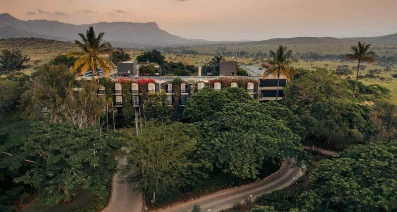 2 DAYS TO TAITA HILLS GAMES SANCTUARY - A Deep Dive into the 2-Day Taita Hills Safari