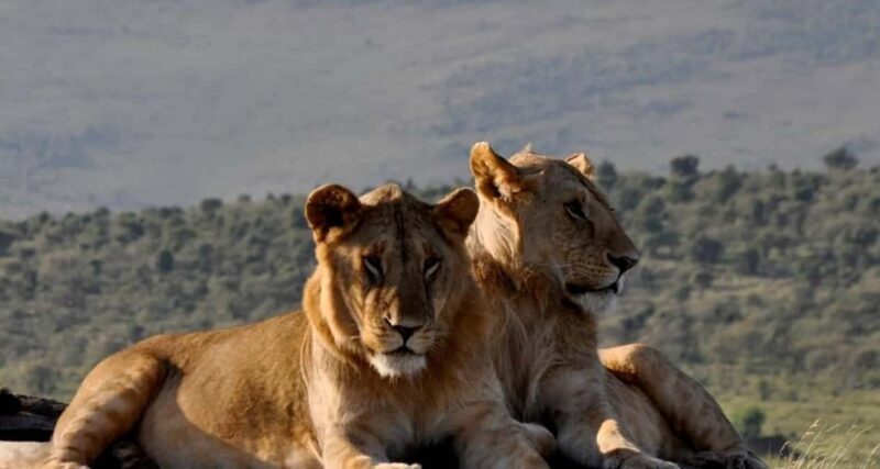 2 DAYS TO TAITA HILLS GAMES SANCTUARY - Final Thoughts: Who Will Love This Safari?