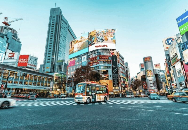 2 Days Tokyo, Mount Fuji Trip Private Guided Tour - An Introduction to the 2-Day Tokyo & Mount Fuji Tour