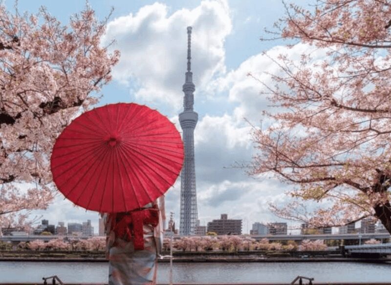 2 Days Tokyo, Mount Fuji Trip Private Guided Tour - The Sum Up