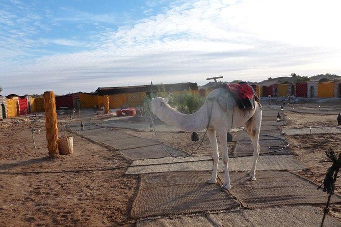 2 Days Tour: A Taste Of Moroccan Desert - Authentic Experiences That Stand Out