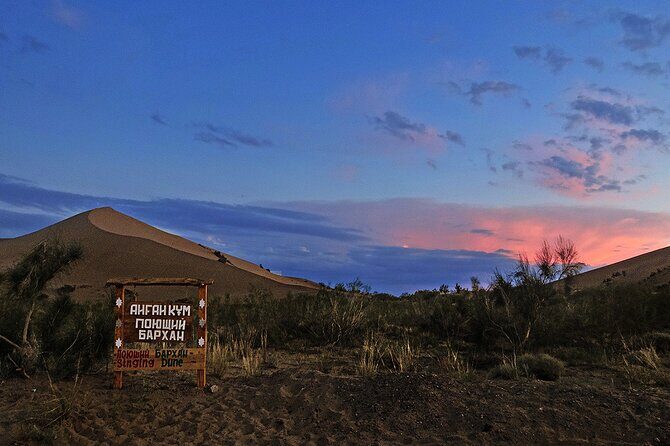 2 Days Tour: Altyn Emel National Park Singing Dunes & Aktau Mountains - The Sum Up: Who Wins This Tour?