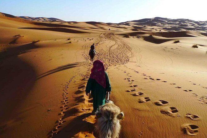 2 Days Tour From Fes To Marrakech Via Merzouga Desert - Transportation, Timing, and Value
