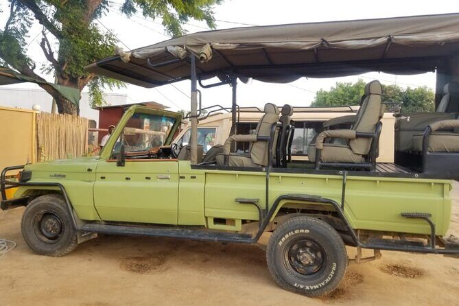 2 Days Tour From Zanzibar to Nyerere National Park (Selous GR) - Transportation and Logistics