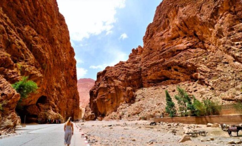 2 Days Trip From Marrakech To Ouarzazate & Dades Valley - The Value Proposition: Is It Worth It?
