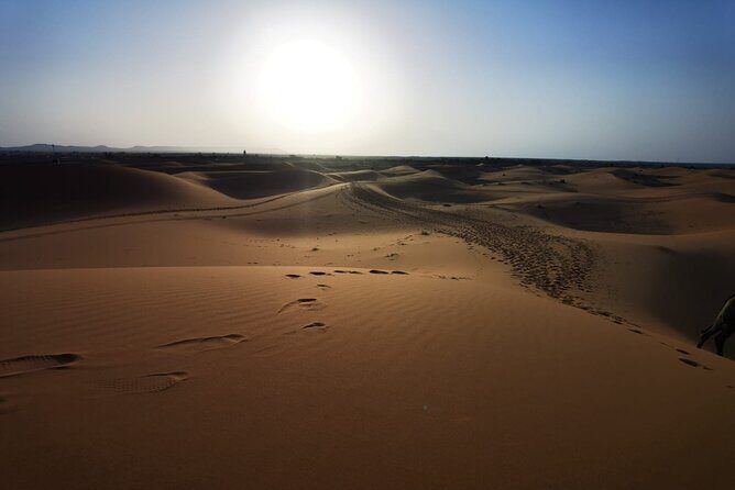 2 Days Trip Sahara Desert Fez To Fez - Who Should Consider This Tour?