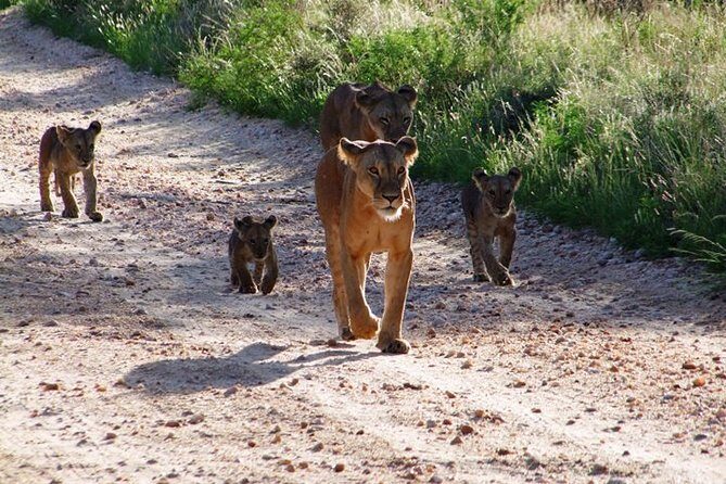 2 Days Tsavo East and Ngutuni Sanctuary starting from Mombasa. - FAQ