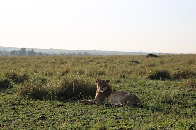 2 Days Tsavo East National Park Tour From Mombasa/Diani (1 Night) - Key Highlights of the Itinerary