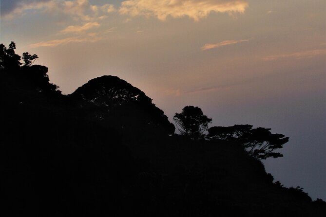 2 days Uganda Gorilla trekking - Exploring the Itinerary: What to Expect