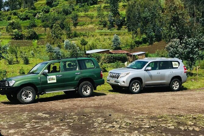 2 days Uganda Gorilla trekking - Authentic Experiences That Stand Out