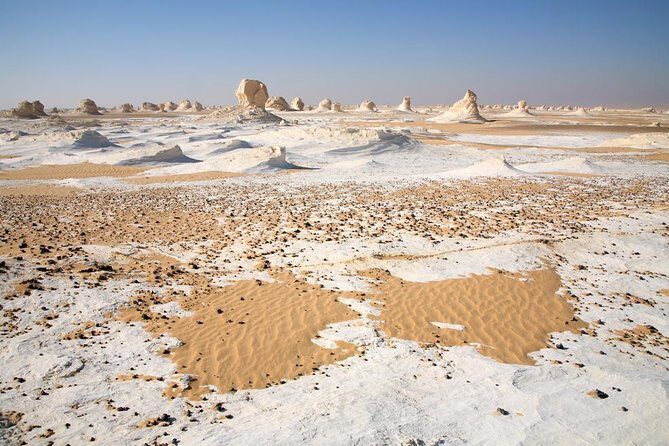 2 Days White Desert And Bahariya Oasis Tour - Key Points