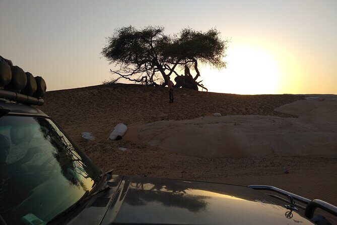 2 Days White Desert Tour in Egypt - What Reviewers Say
